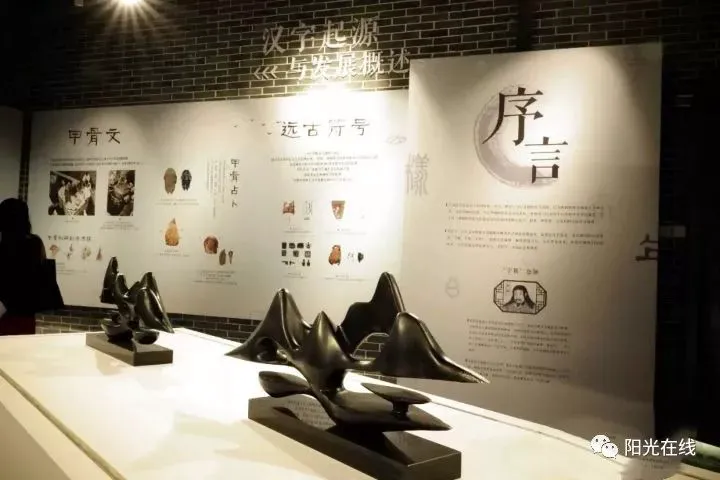 绳梯训练篮球_2